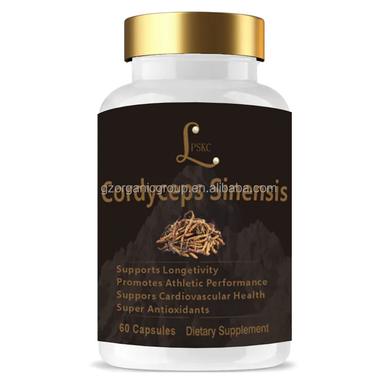 Capsules naturelles d'extrait de Cordyceps Sinensis Capsule d'extrait de champignon Cordyceps pour l'énergie