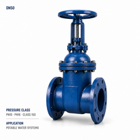 Katup Gerbang Berflens DN50 PN16 Manual Rising Stem Besi Cor untuk Sistem Air Minum Kelas 150 Minyak & Gas Suhu Tinggi