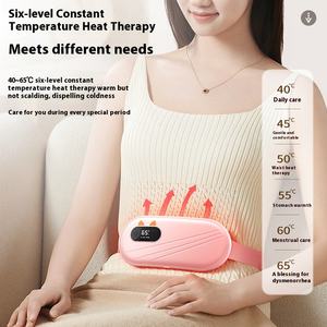 Sabuk pijat pemanas tampilan Digital, artefak bibi besar baru untuk perawatan fisioterapi pinggang - Product Image 4