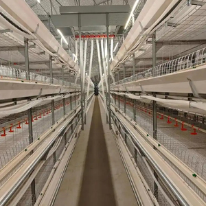 <span class=keywords><strong>Kit</strong></span> de cages pour poulets de chair entièrement automatisé et économe en main-d'œuvre, avec modules complets d'alimentation, d'abreuvement, de collecte des excréments et de ventilation - Product Image 3