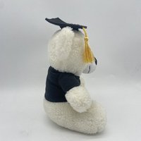 Ours en peluche personnalisé en usine avec chapeau de docteur, ours en peluche pour la remise des diplômes, cadeau de saison de remise des diplômes