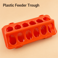 Abreuvoir automatique transparent en plastique pour volailles, poulets, cailles et poussins, usage intérieur, 12/18 trous