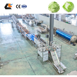Máquina de lavado y enjuague de verduras (brócoli, <span class=keywords><strong>tomate</strong></span>, repollo), línea de lavado de vegetales, máquina de secado de <span class=keywords><strong>tomate</strong></span> - Product Image 2