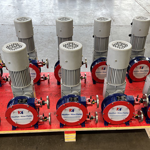 20+ Jahre Herstellererfahrung: Industrielle Schlauchpumpe, Peristaltische Quetschpumpe für Bergbau-Schlammtransfer - Product Image 4