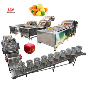 Gelgoog Citrus Grading Cleaning Processing Sorting Vegetable and Fruit Washing and Waxing Line