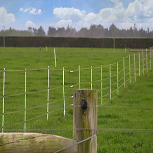 Fiberglass <b>Rod</b> Electronic Fence Pole Insulating Fiber Stick/Animal Farming Railing - Product Image 3