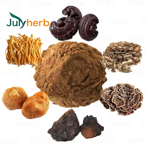 Julyherb, лидер продаж, 30% Полисахариды, Экстракт устричных грибов, пищевой порошок <span class=keywords><strong>Pleurotus</strong></span> Ostreatus, горячий рынок, трава - Product Image 1