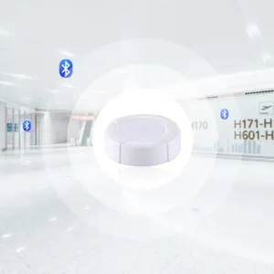 Balise BLE de périphérique Bluetooth DX-SMART OEM ODM pour le positionnement du personnel intérieur et le suivi des actifs Solutions et logiciels IoT