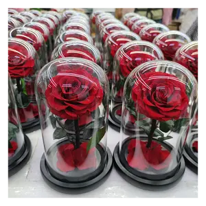 Technology wholesale eternal rose dome glass long time lasting rose suppliers flowers decor single preserved rose flower in dome