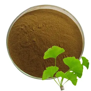 Wholesale Ginkgo Biloba Leaf Extract Powder 24% Flavone 6% Lactones Ginkgo Biloba Extract Ginkgolic acid ginkgo biloba powder