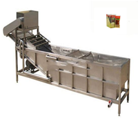 Stabiele Prestatie Gedroogde Fruitsnacks Fruitleer Fruitreep Strip Maken Machine Goede Staat Gezonde Snacks