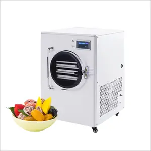 Hot Selling Food Freeze Drying Equipment Commercial Freeze Dryer Stainless Steel Made In China