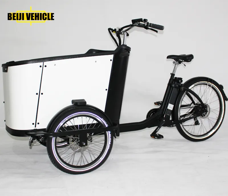 Beiji hochwertige elektrische Bakfiets Familie Velo Tri porter Dreirad Elektrik zu verkaufen