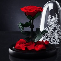 Rose éternelle préservée sous cloche en verre, longue durée (3-5 ans), cadeau idéal pour la Fête des Mères, la Saint-Valentin et Noël pour femmes - Offre Spéciale