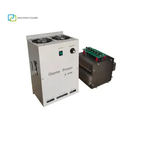 300g medical water treatment machine plate ozone generator module air purifier