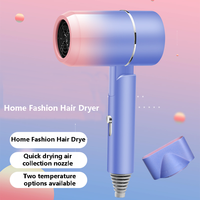 Sèche-cheveux de voyage à poignée pliable à 2 vitesses avec diffuseur ionique Sèche-cheveux à main pour sécher le style