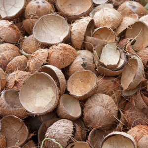 Chips de cáscara cruda de coco natural a granel y Media FORMA DE Vietnam | Exportación directa de fábrica para carbón, combustible y uso industrial ecológico - Product Image 1