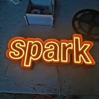 Enseigne néon LED en silicone, économie d'énergie, lumineuse, étanche IP65, alimentation AC/DC, publicité extérieure pour magasin, décoration, texte et logo personnalisés, CE