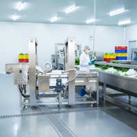 Spinazie Aardbei Sinaasappel Champignon Komkommers Fruit Groente Gemotoriseerde Bellenwasmachine Wasmachine