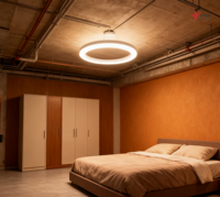 Lumière linéaire annulaire LED à intensité variable, corps en aluminium, indice de protection IP20, connexion rapide, 30W, pour bureau et commerce, avec garantie de 5 ans