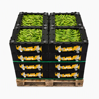 Emballage pliable et empilable en plastique ondulé PP pour okra, conteneur de transport PP pour légumes, boîte d'emballage personnalisée