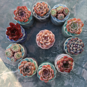 Nouveaux pots en céramique effet glace craquelée pour plantes succulentes, mini-contenants minimalistes, respirants, frais et mignons pour les plantes vertes et les <span class=keywords><strong>lithops</strong></span> - Product Image 2
