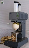 Petit mélangeur et extracteur de jus de fruits commercial Presse-agrumes efficace pour restaurants et hôtels État neuf
