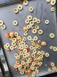 เครื่องหั่นแอปเปิ้ลคอร์ริ่งเครื่องหั่นผลไม้ไฟฟ้าสำหรับอุตสาหกรรมทำจากสเตนเลสสตีลเพื่อการค้า - Product Image 6