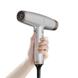 high-speed super Brushless Motor professional salon hairdryer bldc mini ionic hand held hair dryer wall