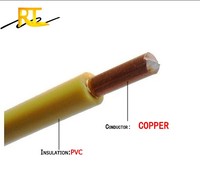 RUITIAN Fire Resistant WIre 2,5mm Kupfer leiter PVC-isolierte Beleuchtung Haushalts kabel