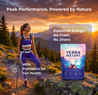 WELLBODY Vente en gros de poudre de thé instantané Yerba Mate 3-en-1 Super boisson avec prébiotiques et probiotiques pour une énergie propre