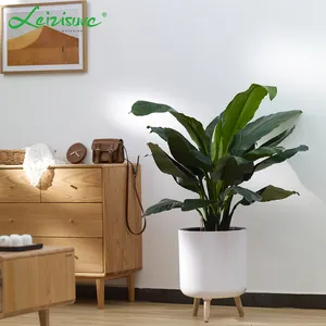 Large Outdoor Decorative PP Plant Pot With Wooden Leg Stand Cheap Big Tree Orchid Flower For Garden New Condition For Room Use