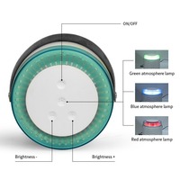 Déshumidificateur électrique miniature intelligent pour la maison, capacité de 120 pintes/24h, 20 pieds carrés. Écran LED à couverture totale, énergie