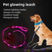 Accessoires pour animaux de compagnie, chien, chat, laisse lumineuse, RGB, luminescente, rechargeable par USB, laisse LED pour chien avec lumière pour la marche nocturne