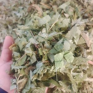 Usine en gros Epimediifolium épice et produit à base de plantes Herba Epimedii Epimedium feuilles d'herbes - Product Image 2