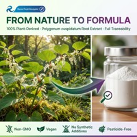 Poudre de Trans-Resvératrol à 98% Extrait de Polygonum Cuspidatum Étiquette Nettoyée Ingrédient de Complément Alimentaire à Base d'Extrait Végétal Naturel
