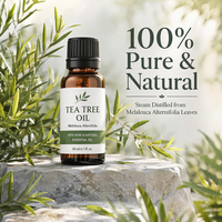 Huile d'Arbre à Thé à Forte Vente, Parfum Marque Blanche à l'Huile d'Arbre à Thé