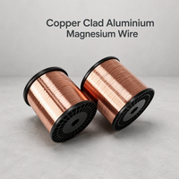 Fil en cuivre plaqué aluminium-magnésium à haute flexibilité de 0,115 mm à 0,34 mm, bobine de 1 kg, anti-casse, CCAM pour câble solaire