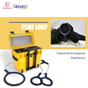 Máquina Profesional de Magnetoterapia PEMF para Caballos, Dispositivo de Terapia Magnética para Fisioterapia y Tratamiento de Articulaciones - Product Image 2