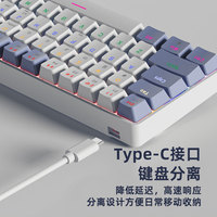 SUNSONNY N-J6PRO 68 Key Wired Mechanical Keyboard Hot Swappable RGB 21 Modes Type C for PC Laptop Gaming