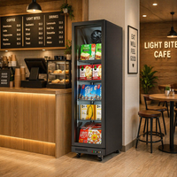 Mini congélateur vertical 1 porte en verre, sans givre, avec contrôle numérique LED, -22°C, excellent rapport qualité-prix, vente directe usine pour les startups