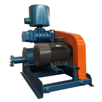 Pompe à vide de type Roots série HDSR-V à haute efficacité pour le traitement des eaux usées, refroidissement par air haute pression, gaz naturel, 100 CV, électrique