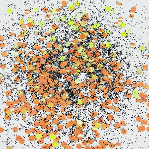 Économisez <span class=keywords><strong>plus</strong></span>, créez <span class=keywords><strong>plus</strong></span> de paillettes holographiques : attirez tous les regards avec notre offre spéciale de décoration murale de sapin de Noël qui brille dans le noir - Product Image 6