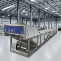 Continue voedselverwerkingsmachine voor pinda's, groenten en fruit, stoomblancheringsmachine 200 kg/uur, tomatenblancheringsmachine, kleine aardappelblancheringsmachine
