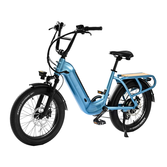 Powerful Ebike 20-Inch Fat Tire 500W 52V Brushless Rear Hub Motor 15AH Built in Rear Rack Electric Bike