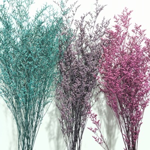 Korunmuş doğal kurutulmuş çiçekler toptan caspia puslu Limonium korunmuş Limonium çiçekler çim korunmuş çiçekler ve bitkiler - Product Image 1