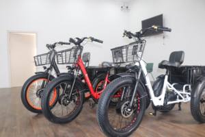 2025 di alta qualità 48V 500W pieghevole 24 pollici grasso pneumatico 3 ruote <span class=keywords><strong>bici</strong></span> con cestello tricicli elettrici per il trasporto utilizzando - Product Image 3