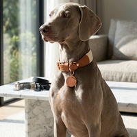 Collier et laisse en cuir personnalisés pour chien, avec étiquette nominative, largeur 2 pouces, pour lévrier, entraînement et promenade, type Martingale, livraison gratuite
