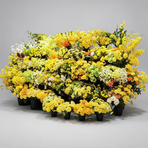 Collection <span class=keywords><strong>de</strong></span> <span class=keywords><strong>fleurs</strong></span> artificielles jaunes en gros LO-721, <span class=keywords><strong>fleurs</strong></span> artificielles mélangées pour les mariages, les événements et les projets <span class=keywords><strong>de</strong></span> décoration - Product Image 1