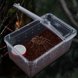 <span class=keywords><strong>Mini</strong></span> 5,1 "L X 3,1" W X 2,5 "H Venta al por mayor Nuevo diseño Buen precio Caja de transporte de plástico Caja de cría - Product Image 2